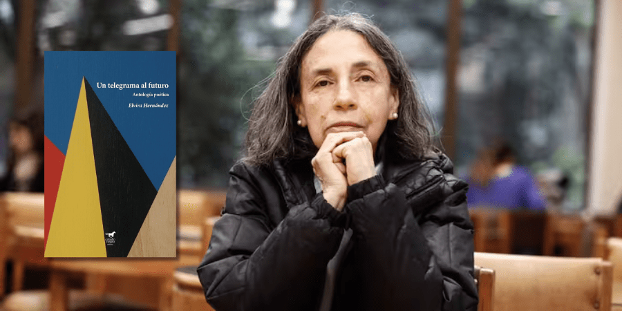 «Un telegrama al futuro», se edita la antología poética de Elvira&nbsp;Hernández